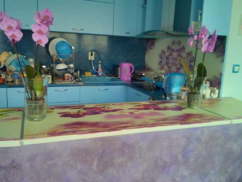 Imagen 3 de 11