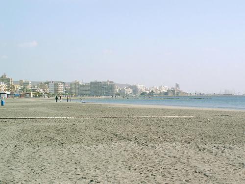 Imagen 2 de 14