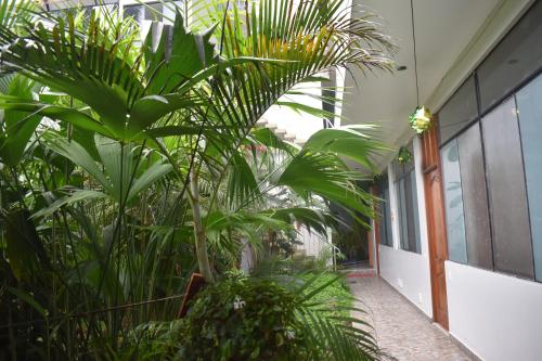 Imagen 4 de 10