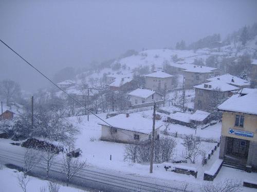 Imagen 5 de 40