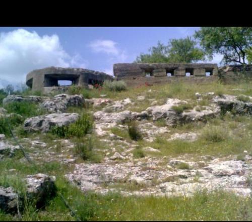 Imagen 4 de 56