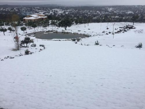 Imagen 4 de 75