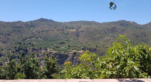 Imagen 3 de 4