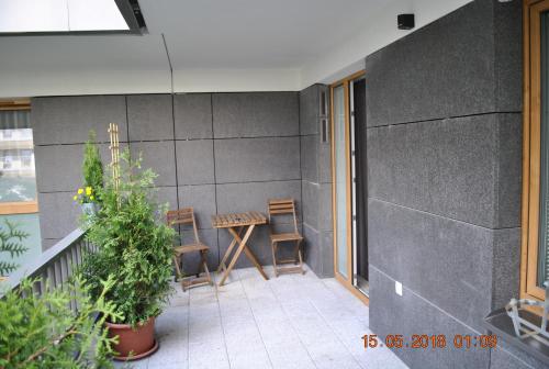 Imagen 3 de 23