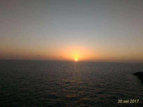 Imagen 2 de 44