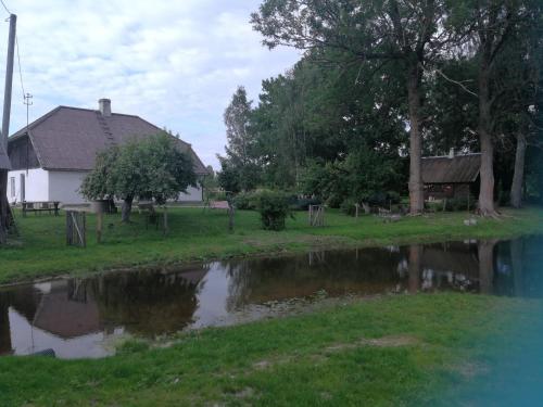 Imagen 1 de 14