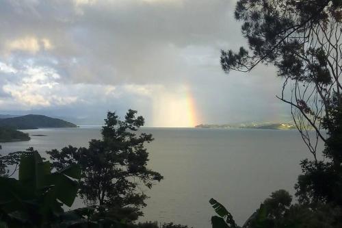 Imagen 3 de 55