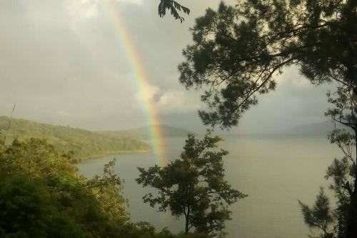 Imagen 5 de 55