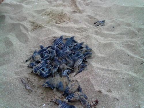 Imagen 3 de 23