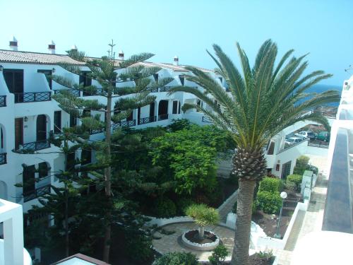 Imagen 5 de 21