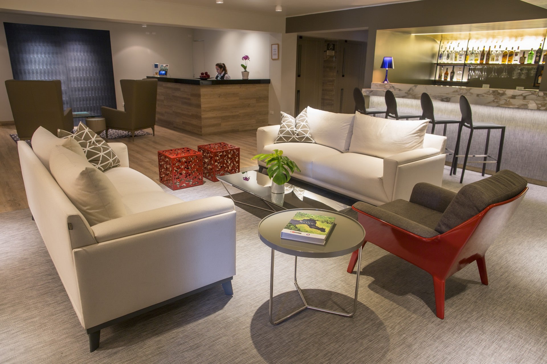 Imagen 2 de 19