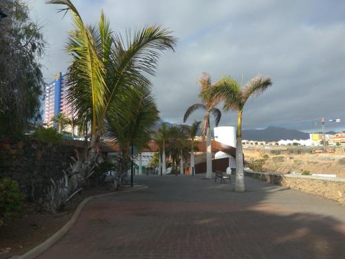 Imagen 4 de 10