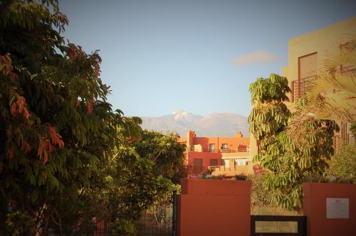 Imagen 5 de 18