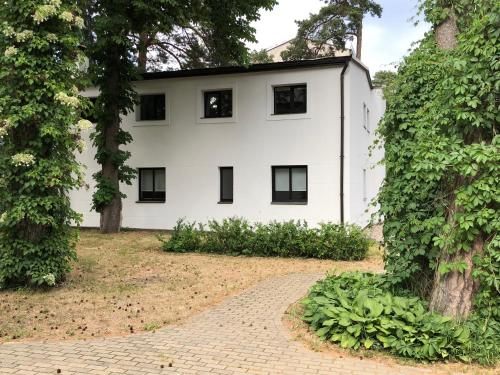 Imagen 1 de 7