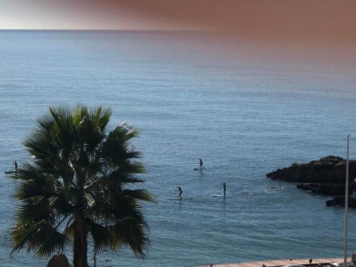 Imagen 3 de 41