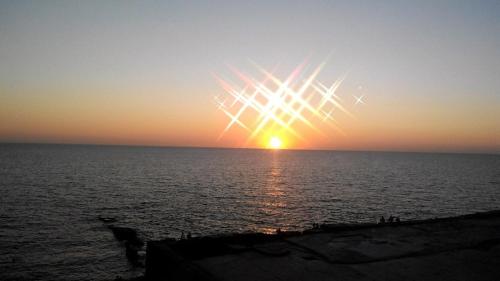 Imagen 5 de 23