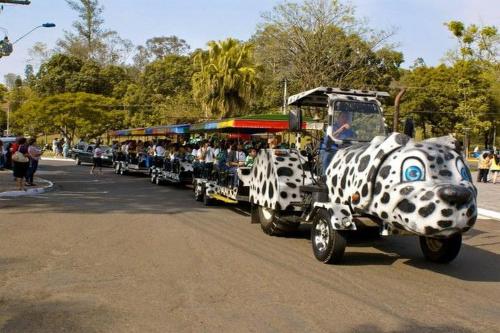 Imagen 5 de 11