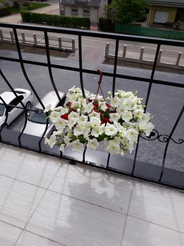 Imagen 3 de 36