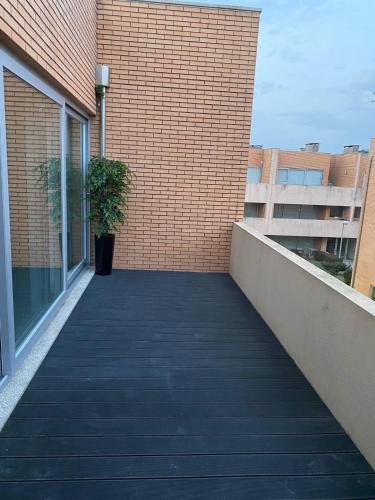 Imagen 5 de 10