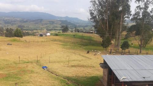 Imagen 5 de 39