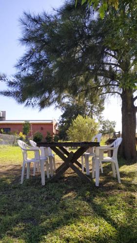 Imagen 5 de 20