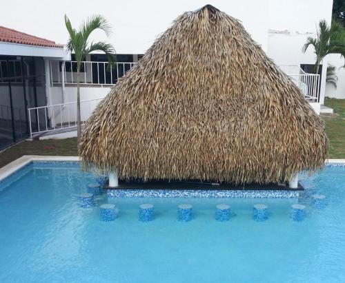 Imagen 5 de 13