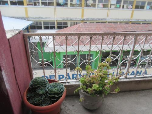 Imagen 3 de 27