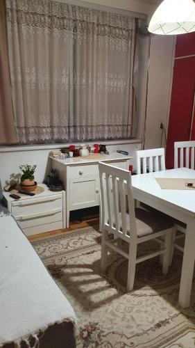 Imagen 3 de 14