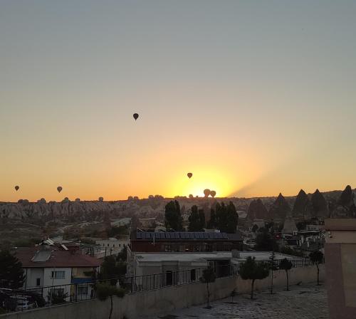 Imagen 3 de 42