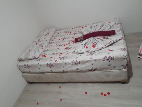 Imagen 2 de 12