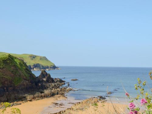 Imagen 4 de 13