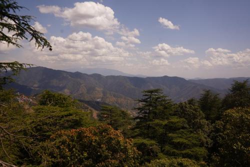 Imagen 4 de 20
