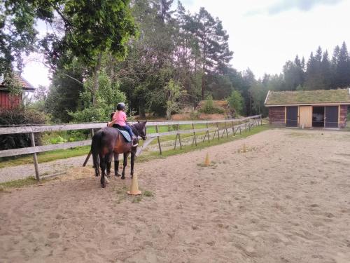 Imagen 4 de 23