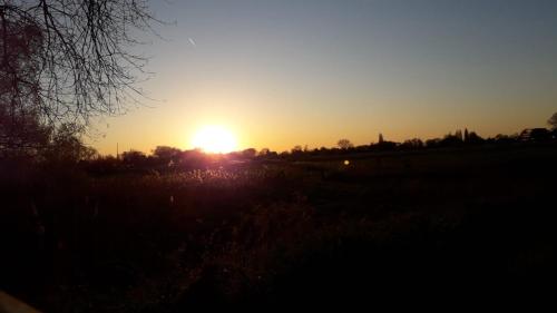 Imagen 2 de 24