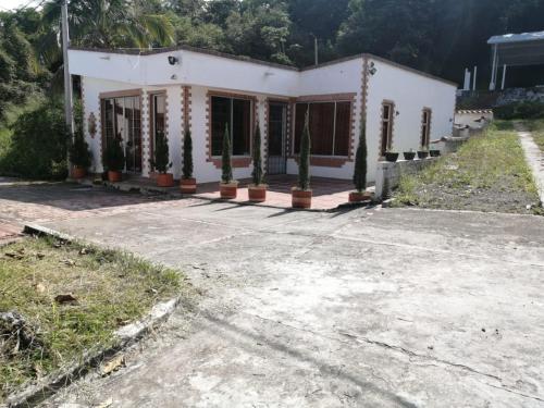 Imagen 3 de 8