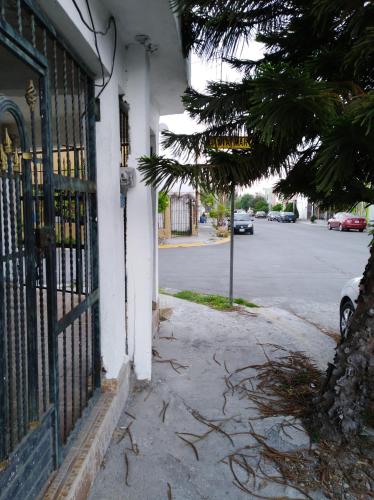 Imagen 3 de 18