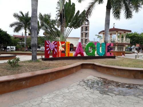 Imagen 4 de 12