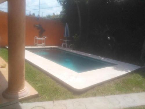 Imagen 4 de 11