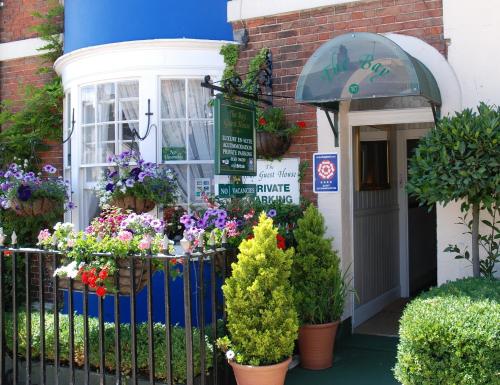 Imagen 1 de 24