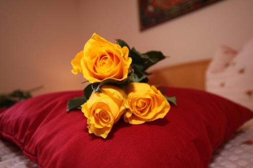 Imagen 4 de 20