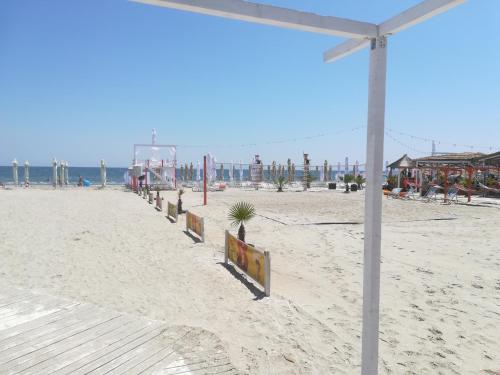 Imagen 3 de 15