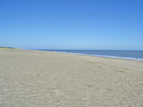 Imagen 3 de 5