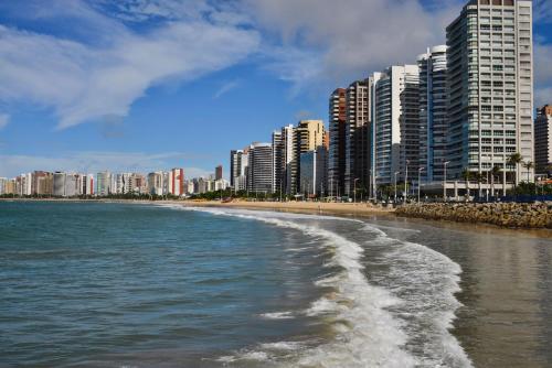 Imagen 3 de 19