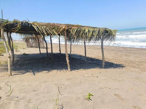 Imagen 2 de 35