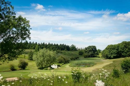 Imagen 5 de 26