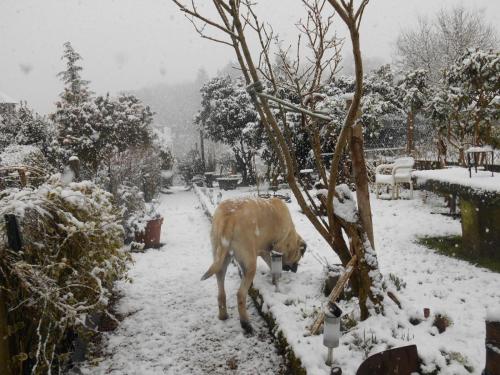 Imagen 4 de 20