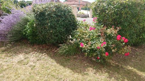Imagen 1 de 14