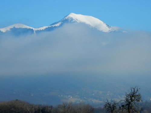 Imagen 4 de 5