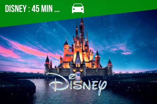 Imagen 3 de 16