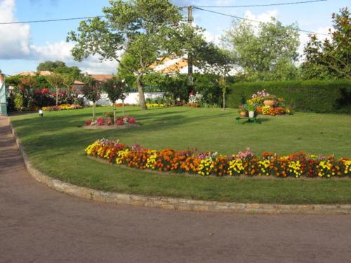 Imagen 3 de 24